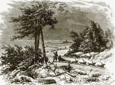 Sledge and Dogs on the Amoor by English School